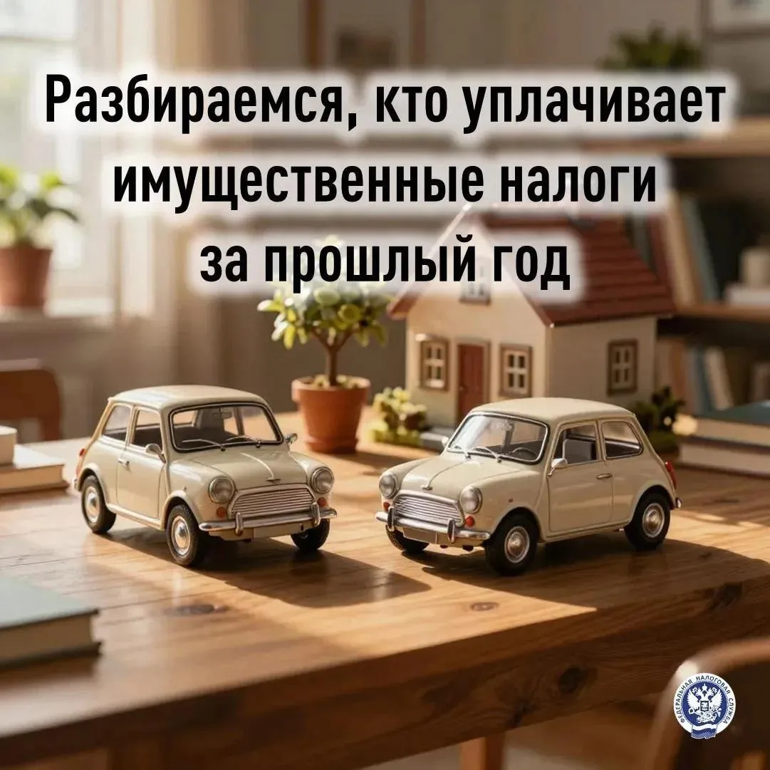 Имущественные налоги в ДНР: что нужно знать